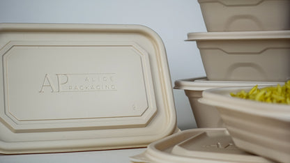 Disposable Food Trays with lids